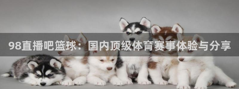98直播吧篮球：国内顶级体育赛事体验与分享