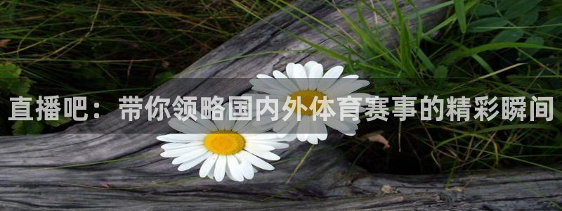 直播吧：带你领略国内外体育赛事的精彩瞬间