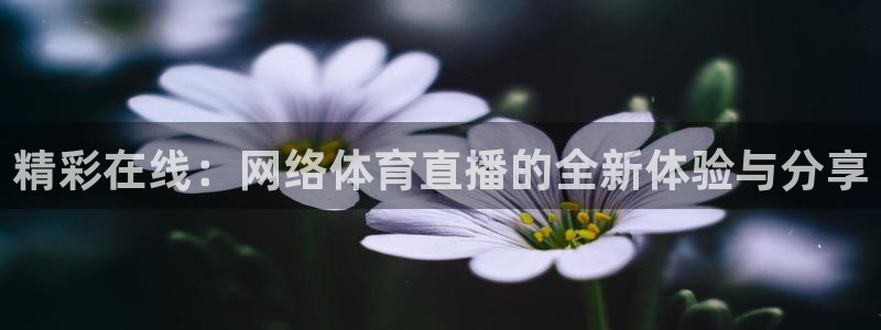 精彩在线：网络体育直播的全新体验与分享