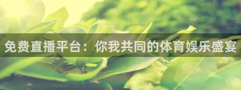 免费直播平台：你我共同的体育娱乐盛宴