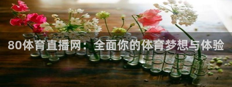 80体育直播网：全面你的体育梦想与体验