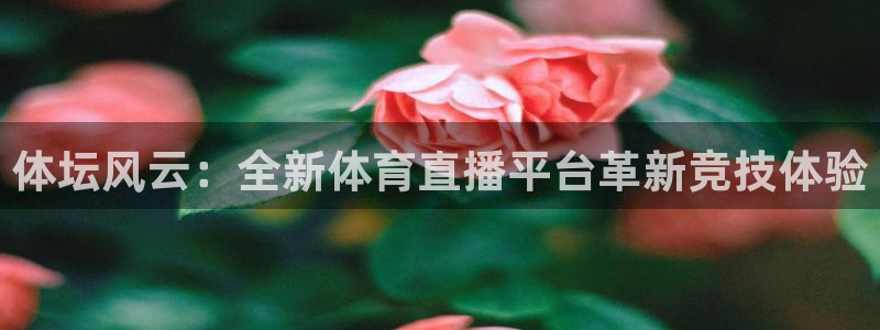 体坛风云：全新体育直播平台革新竞技体验