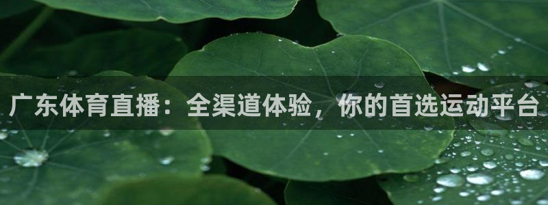 广东体育直播：全渠道体验，你的首选运动平台