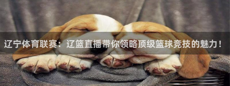辽宁体育联赛：辽篮直播带你领略顶级篮球竞技的魅力！