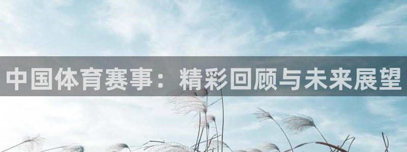 中国体育赛事：精彩回顾与未来展望