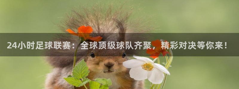 24小时足球联赛：全球顶级球队齐聚，精彩对决等你来！